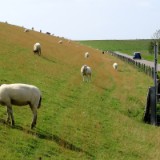 1908F 162 Schleswig Holstein